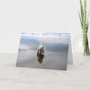 Beachwestie Reflektion Foto Grußkarte Dankeskarte