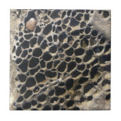 Beachy Bubbly Rocks Fliese (Vorderseite)