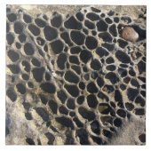 Beachy Bubbly Rocks Fliese (Vorderseite)
