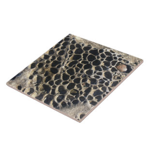 Beachy Bubbly Rocks Fliese