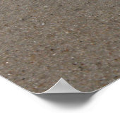 Beachy Clamshell Poster (Ecke)