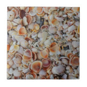 Beachy Seashells Fliese (Vorderseite)