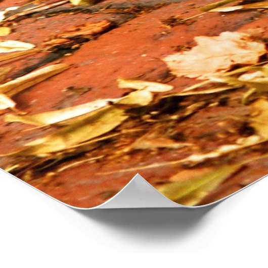 Beacon Hill Boot Scraper Poster (Ecke)