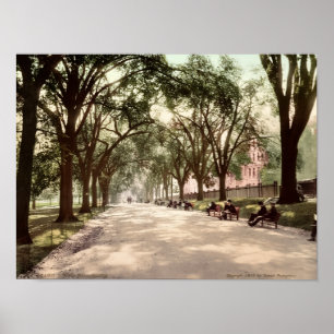 Beacon Street Mall Boston c1899 Vintage Inspiriert Poster