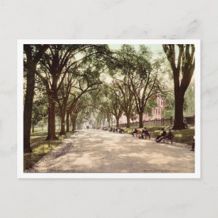 Beacon Street Mall Boston c1899 Vintage Inspiriert Postkarte