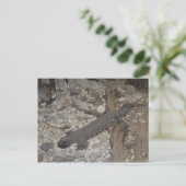 Beaded Lizard # 1 Postkarte (Stehend Vorderseite)