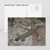Beaded Lizard # 1 Postkarte (Vorne/Hinten)