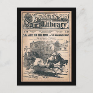 Beadles Half Dime Library No. 1120 1901 Postkarte
