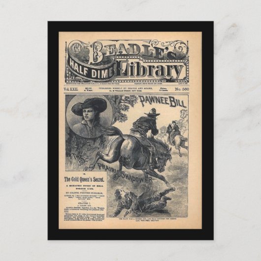 Beadles Half Dime Library Vol. XXII No 560 1888 Postkarte (Vorderseite)