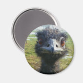 Beady Eyes WWU Magnet (Vorderseite/Rückseite)