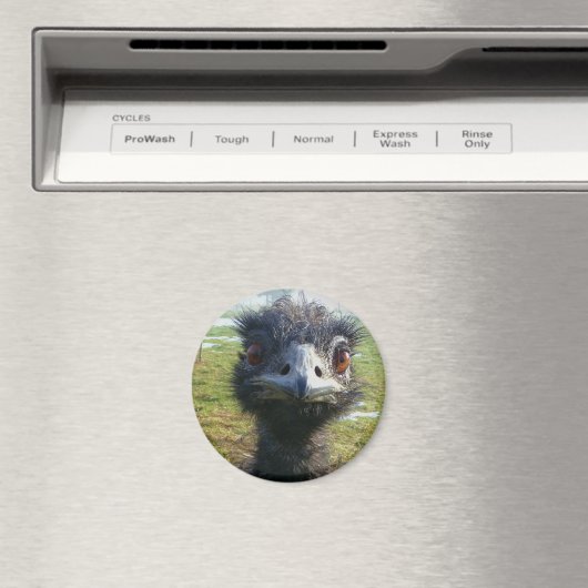 Beady Eyes WWU Magnet (In Situ (Geschirrspüler))