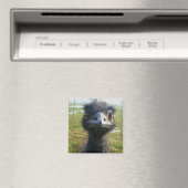 Beady Eyes WWU Magnet (In Situ (Geschirrspüler))