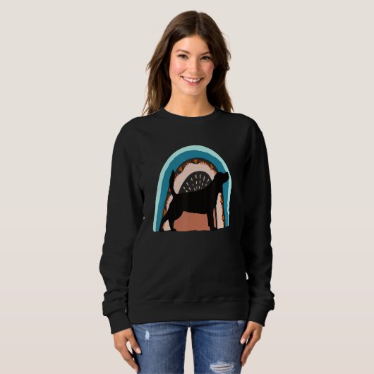 Beagel Dog With Patterned Rainbow Sweatshirt (Vorne ganz)