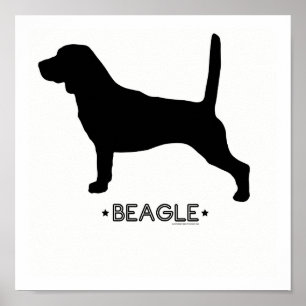 Beagl Print Poster