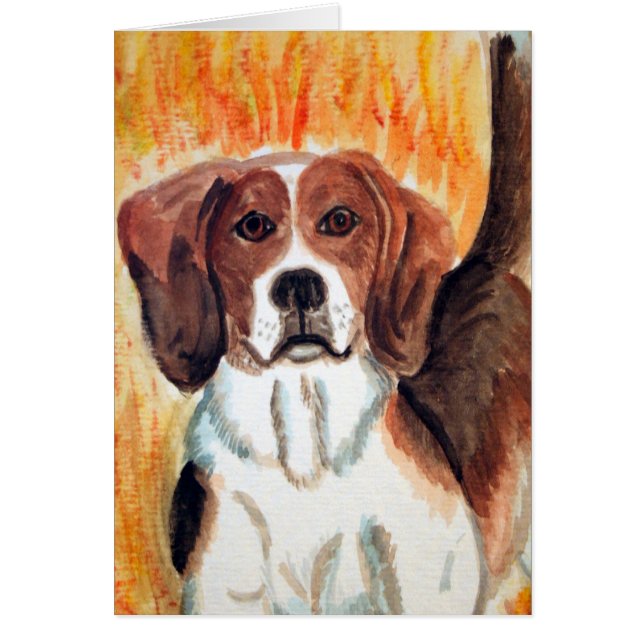 Beagle (Vorne)