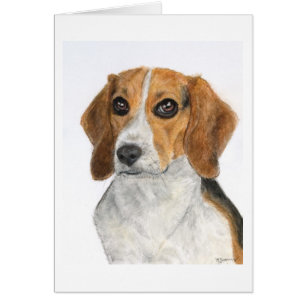 Beagle