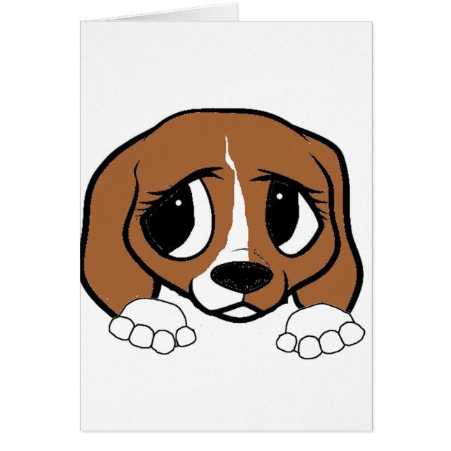 Beagle (Vorne)