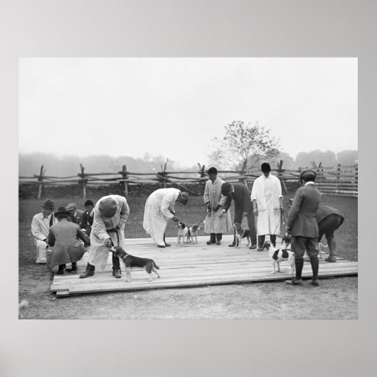 Beagle 1914 poster (Vorne)