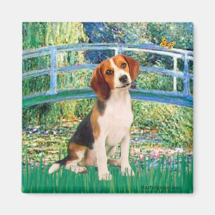 Beagle 1 - Brücke Magnet