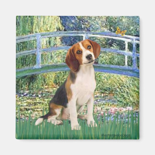 Beagle 1 - Brücke Magnet (Vorne)