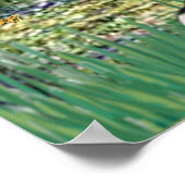 Beagle 1 - Lily Pond Bridge Poster (Ecke)