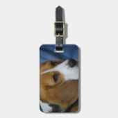 beagle-31.jpg gepäckanhänger (Vorderseite vertikal)