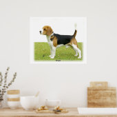 Beagle 9J27D-02 Poster (Küche)