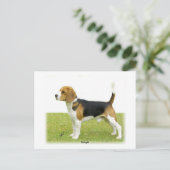 Beagle 9J27D-02 Postkarte (Stehend Vorderseite)