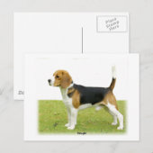 Beagle 9J27D-02 Postkarte (Vorne/Hinten)