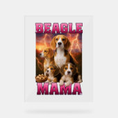 Beagle Acrylschild (Vorderseite)