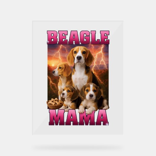 Beagle Acrylschild (Vorderseite)