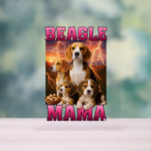 Beagle Acrylschild (Neutral)