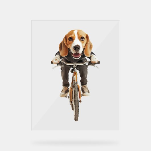 Beagle acrylschild (Vorderseite)