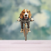 Beagle acrylschild (Neutral)