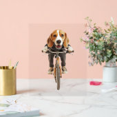 Beagle acrylschild (Hochzeit)