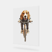 Beagle acrylschild (Winkel)