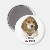 Beagle Adore Magnet (Vorderseite/Rückseite)