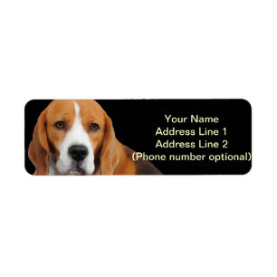 Beagle-Adressen-Aufkleber