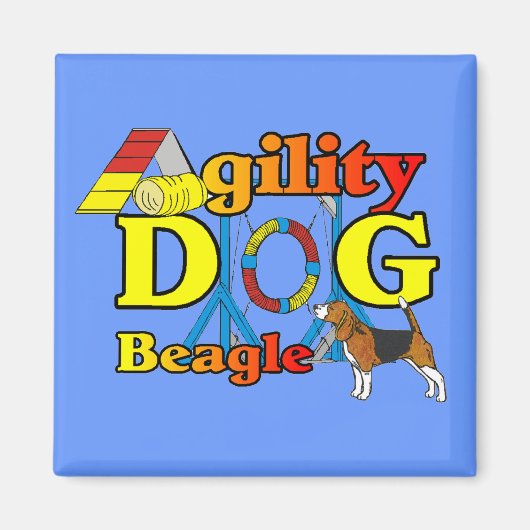 Beagle Agility Geschenke Magnet (Vorne)