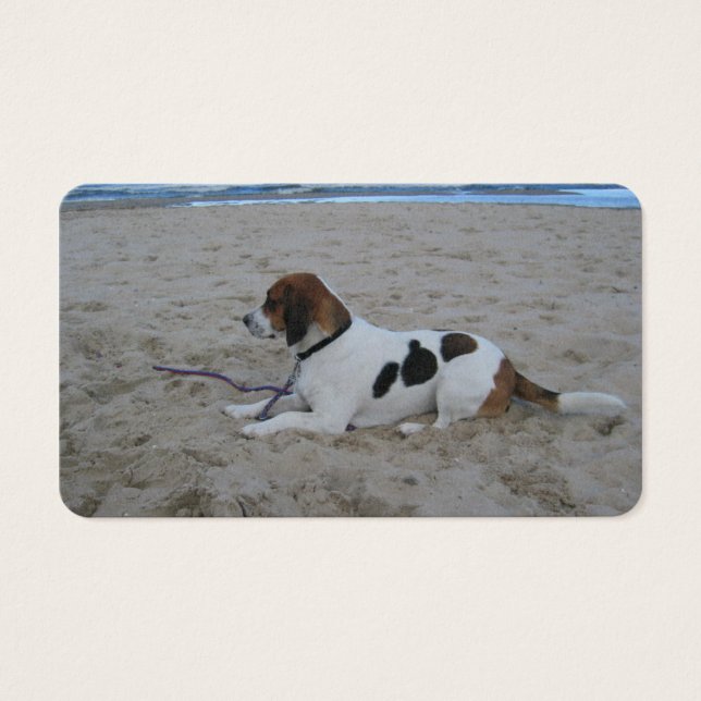 Beagle am Strand.png (Vorderseite)