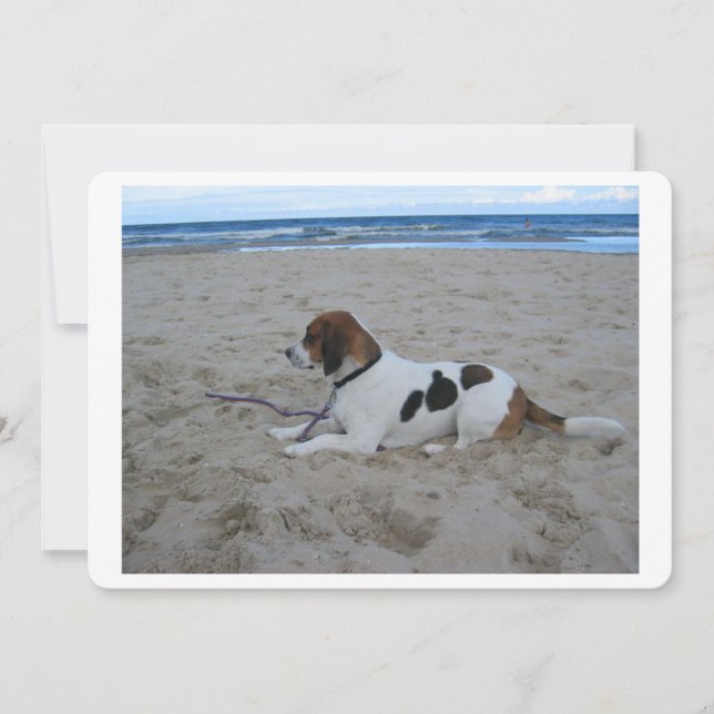 Beagle am Strand.png (Vorderseite)