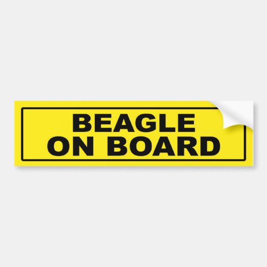Beagle an Bord Autoaufkleber (Vorne)