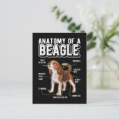 Beagle Anatomy Funny Dog Postkarte (Stehend Vorderseite)