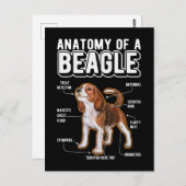 Beagle Anatomy Funny Dog Postkarte (Vorne/Hinten)