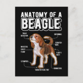 Beagle Anatomy Funny Dog Postkarte (Vorderseite)