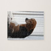 Beagle attutide puzzle (Horizontal)