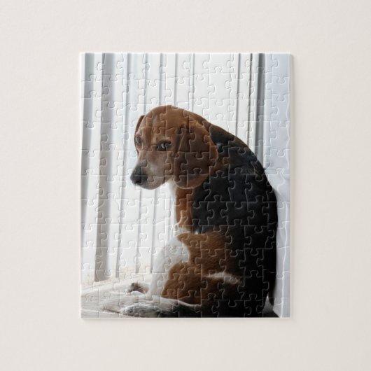 Beagle attutide puzzle (Vertikal)
