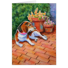 Beagle auf Brick Patio