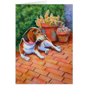 Beagle auf Brick Patio