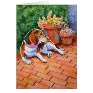 Beagle auf Brick Patio